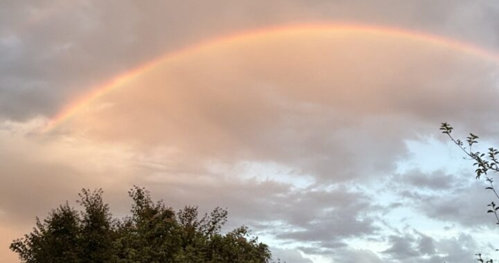 カナダ生活と保育の記録 – ご挨拶！